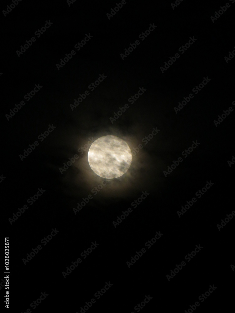 moon in the sky moon in the sky