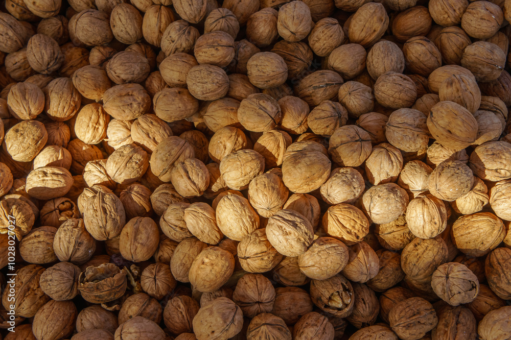 Full frame shot of walnuts Full frame shot of walnuts