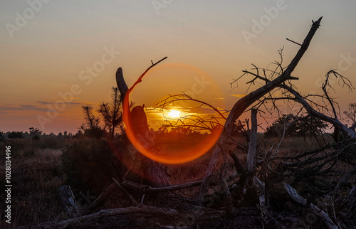 perfect circle in nature