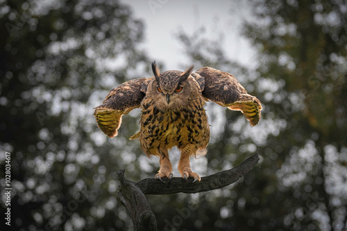 You want to fight, please i will fight to you all!