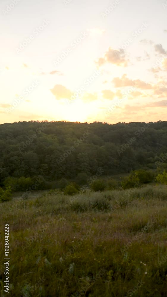 Summer landscape in the mountains , foggy morning , fog over the forest . Red sunrise in woodlands with hills and trees .Green flora . Nature video , sinrise over the mountains . Field with grass