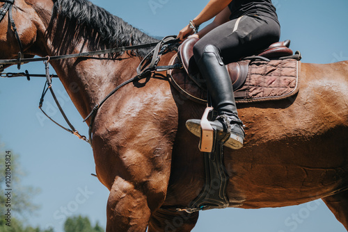 Close-up of an equestrian rider on a brown horse, showcasing the details of the saddle and stirrups on a sunny day.