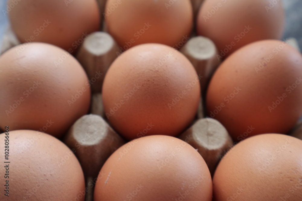 Una toma de cerca de varios huevos fresco de gallina para comer colocado en un cartón. Una toma de cerca de varios huevos fresco de gallina para comer colocado en un cartón.