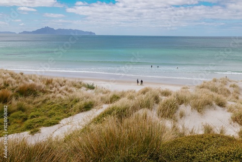 Billede på lærred Sandunes, tussock grass and calm ocean surf of Mangawhai Heads Beach, Mangawhai, Northland, New Zealand