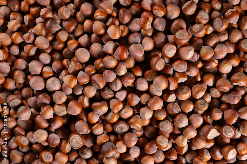 In-shell hazelnut pile background In-shell hazelnut pile background