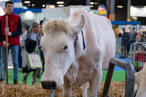 Salon de l'agriculture - Paris 2023