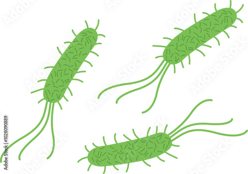Helicobacter Pylori