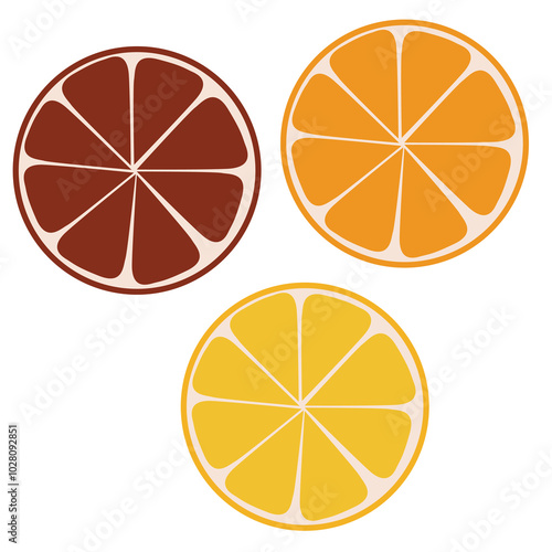 Cut citrus fruits