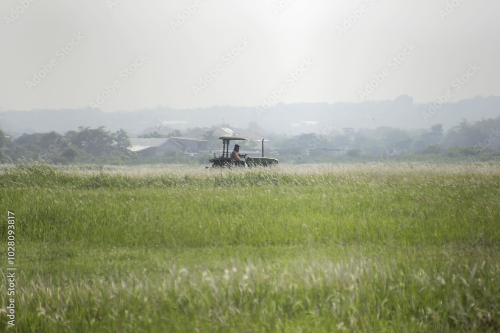 Someone was operating a lawn mowing tractor in a large field. Someone was operating a lawn mowing tractor in a large field.
