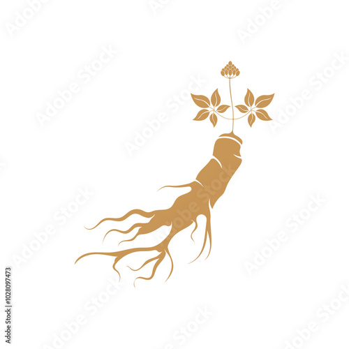 Ginseng logo design template and symbol icon