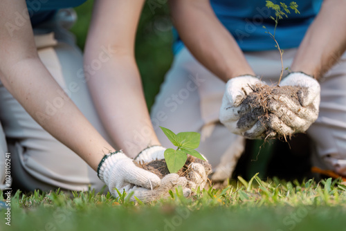 Community Volunteers Planting Trees Together for Environmental Conservation and Sustainability photo