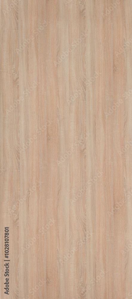 wood Texture wood Texture