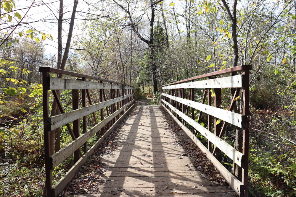 A close-up of a footpath in wood in autumn season. Hiking and outdoor activities in the fall season. October or november background and bridge. Autumn calendar and trail. A close-up of a footpath in wood in autumn season. Hiking and outdoor activities in the fall season. October or november background and bridge. Autumn calendar and trail.