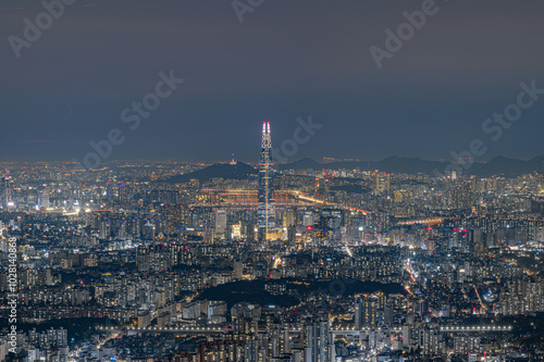 Canvas Print seoul nightscape