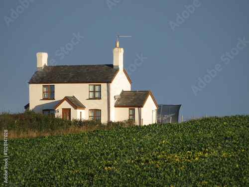 house on the hill