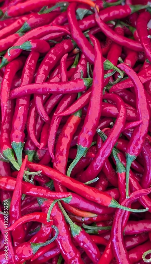 Fresh Red Chili Peppers Close-Up Fresh Red Chili Peppers Close-Up