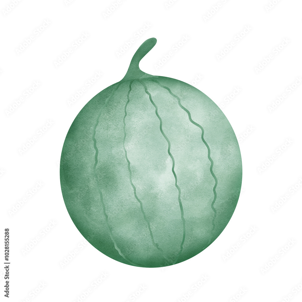 Naklejka premium green watermelon