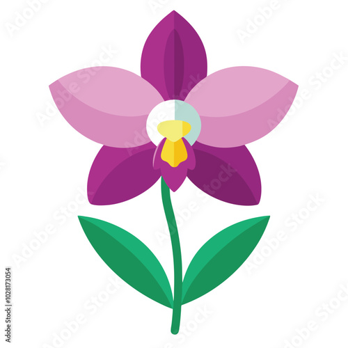 Orchid Vector Art for Design.