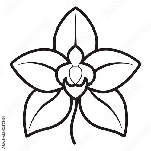 Orchid Vector Art for Design.