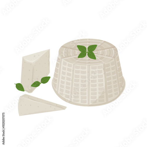 Vector Illustration Logo Clipart Whole and Slice Ricotta Italian Cheese