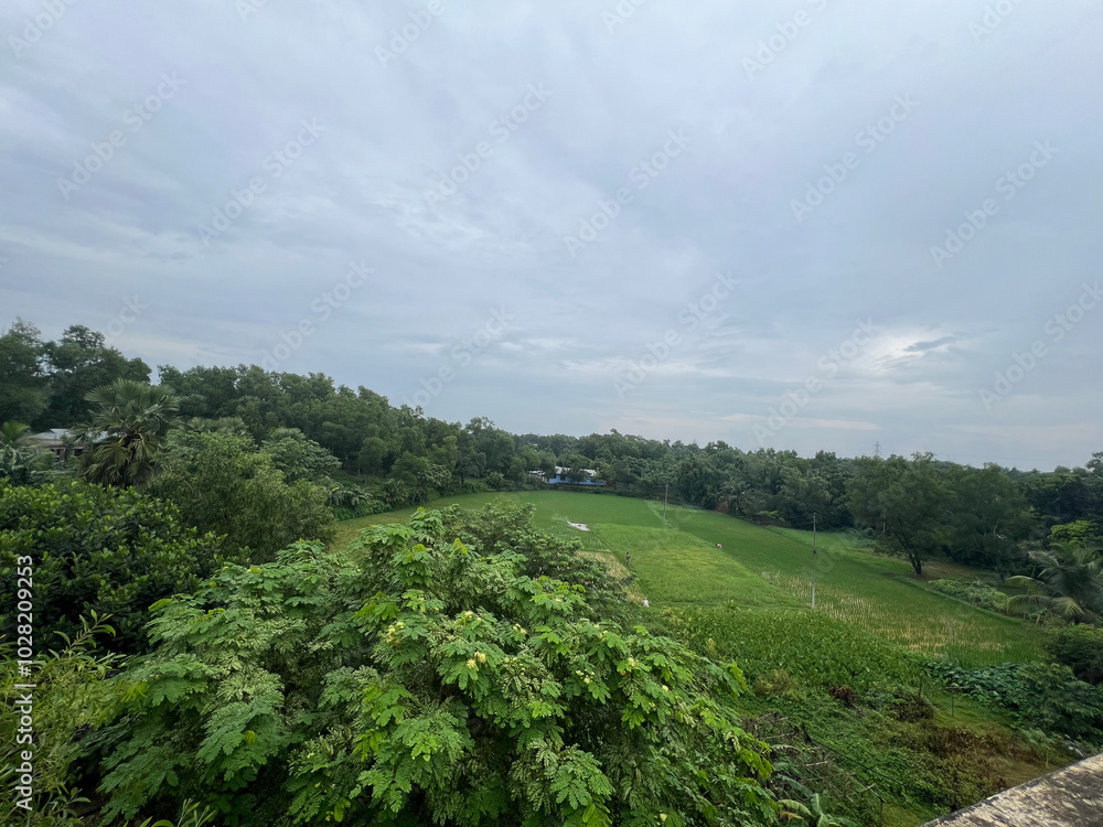 Fototapeta premium Serenity Found: Nature’s Hidden Gems