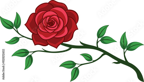 Single red rose vector illustration isolated on white background 