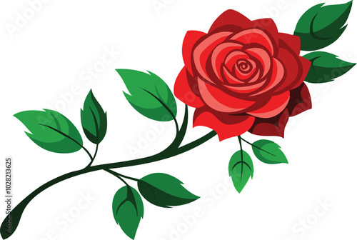 red rose with leaves illustration design 