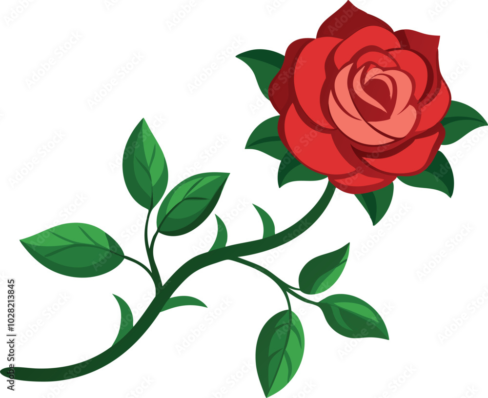 illustration of a rose illustration design illustration of a rose illustration design