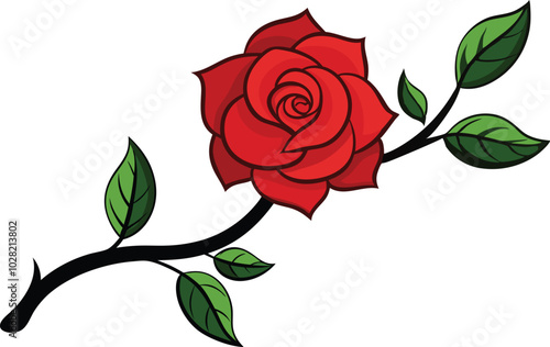 red rose isolated on white background