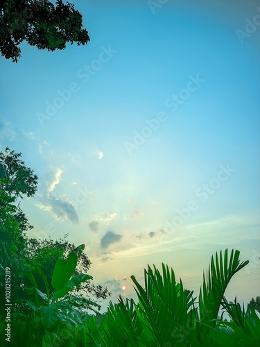 Beautiful landscape of alpine meadow in the mountains  flower 