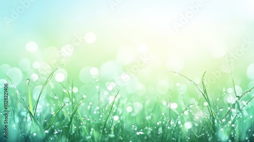 Dewy Grass Meadow with Bokeh