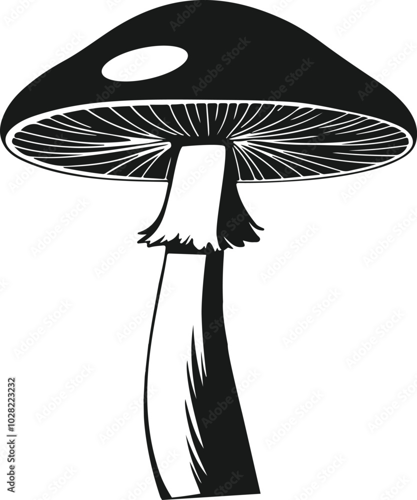 Black and White mushroom Vector on white background. Black and White mushroom Vector on white background.