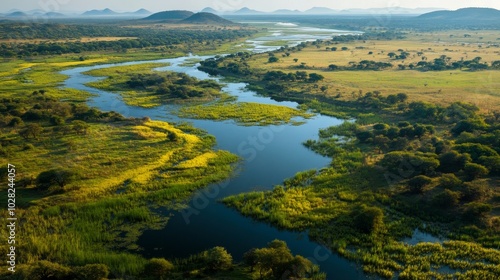 Wallpaper Mural 2408 12.A breathtaking aerial view of Drie Kuilen Nature Reserveâ€™s marshland, with Main Dam at the center. The marsh is a tapestry of green and yellow, interwoven with waterways that reflect the Torontodigital.ca