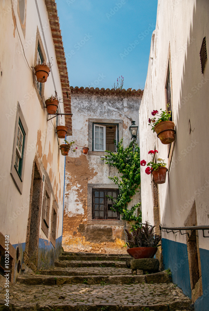 Fototapeta premium Old Town of Obidos Portugal 