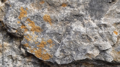 Close-up of a Gray Rock with Yellow Lichen photo