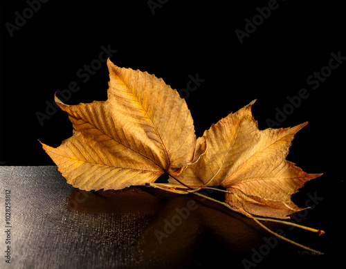 Dried leaves in shades of brown and orange, rest on a dark surface. The leaves have distinct veins and patterns, and their edges are slightly curled.  photo