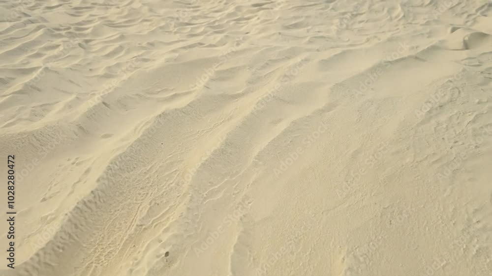 background of beige beach sand with natural pattern, zoom in. 4K quality background of beige beach sand with natural pattern, zoom in. 4K quality