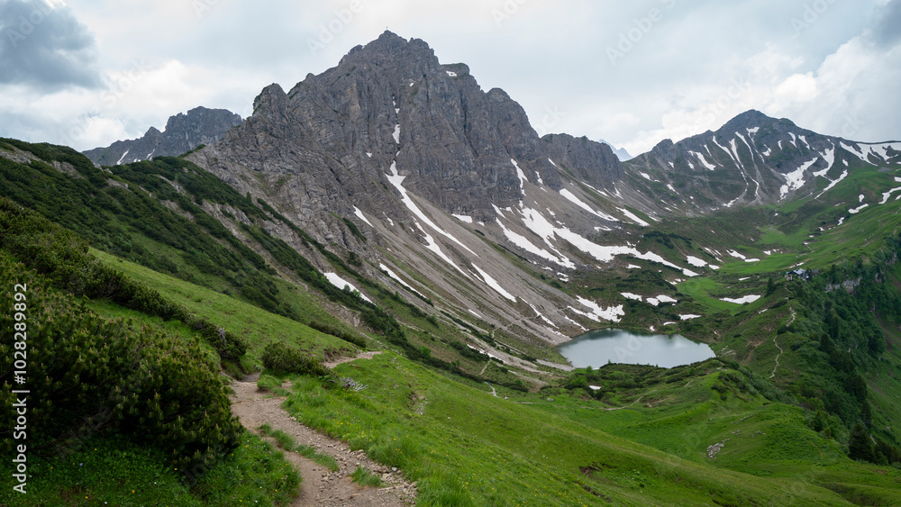 Fototapeta premium Alpen