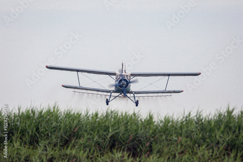 An airplane pollinates fertilizers in a cornfield