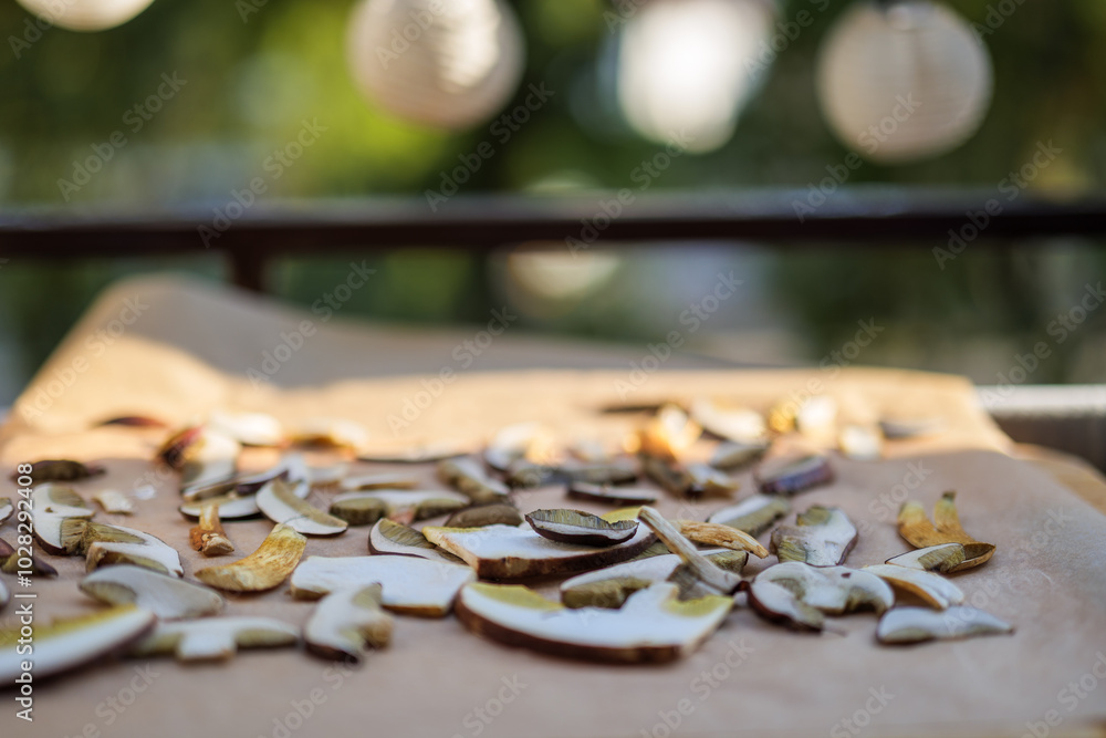 Drying mushrooms. Thinly sliced mushrooms spread on parchment paper and an oven tray dry in the sun on the balcony. Autumn vibes