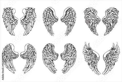 Angel amp Bird Wing Vector Design 