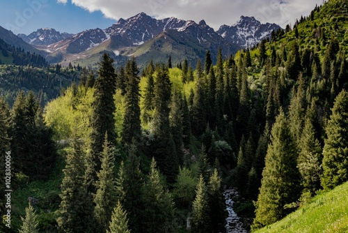 Eco-trail on Medeo overlooking the Tien Shan Mountains, Kazakhstan, Almaty. Summer, sunny