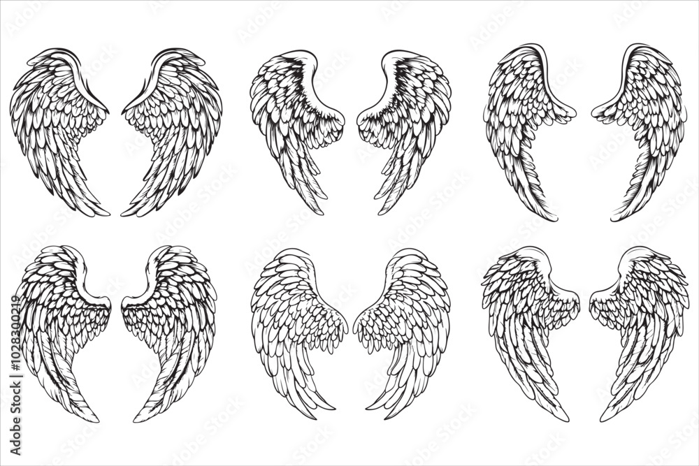 Fototapeta premium Angel amp Bird Wing Vector Design