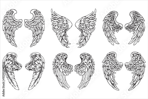 Angel amp Bird Wing Vector Design 