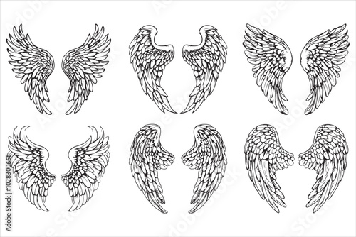 Angel amp Bird Wing Vector Design 