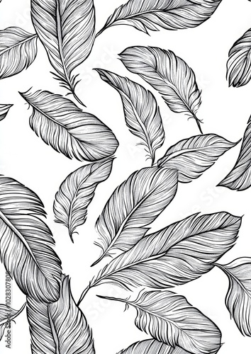 A black and white drawing of feathers with a white background