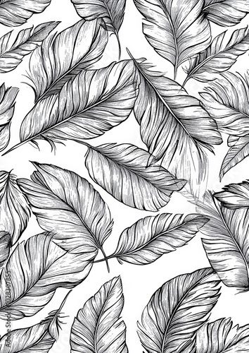 A black and white drawing of feathers with a white background