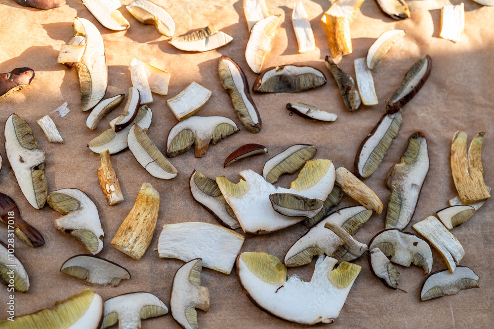 Drying mushrooms in the sun. Thinly sliced mushrooms spread out on parchment paper