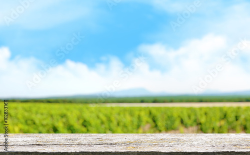 An empty wooden table in the foreground with a sunny vineyard in the background