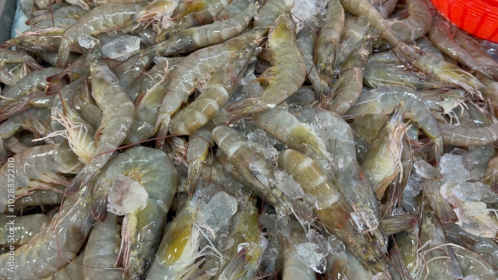 Fresh prawns or shrimp for sale in the seafood market.Fresh seafood for sale in a butcher shop.Fresh lobster on the stall. selling sea food in traditional market. traditional butcher stall Fresh prawns or shrimp for sale in the seafood market.Fresh seafood for sale in a butcher shop.Fresh lobster on the stall. selling sea food in traditional market. traditional butcher stall